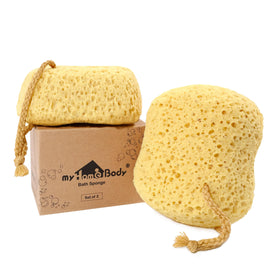 myHomeBody Bath Sponge large size front view