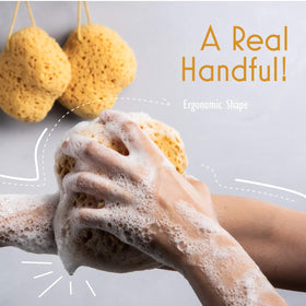 myHomeBody Bath Sponge showing lathering action
