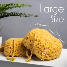 myHomeBody Bath Sponge soft PU foam texture close-up