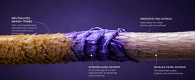 Naissant Pearl Blonde Hair Purple Toning Mask with hair care accessories