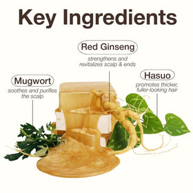 Naisture Red Ginseng 3X Premium Golden Shampoo 730ml back view