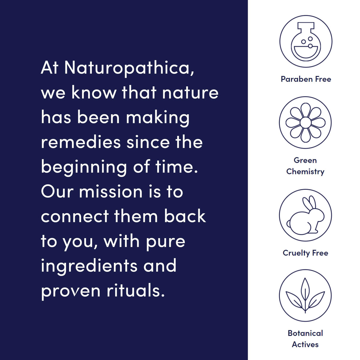 Naturopathica Chamomile Cleansing Milk 5 fl oz texture on skin