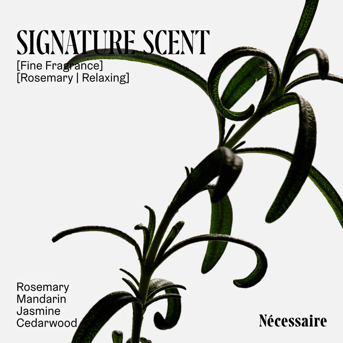 Nécessaire Rosemary Hair Duo Shampoo texture close-up
