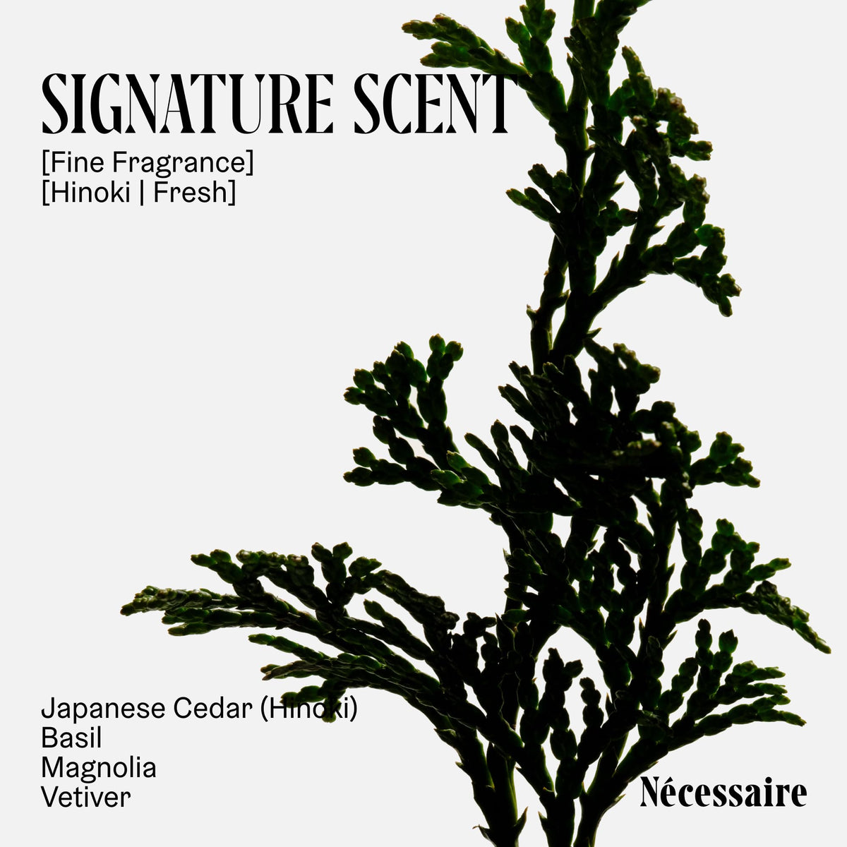 Nécessaire The Body Wash Hinoki lathering on skin