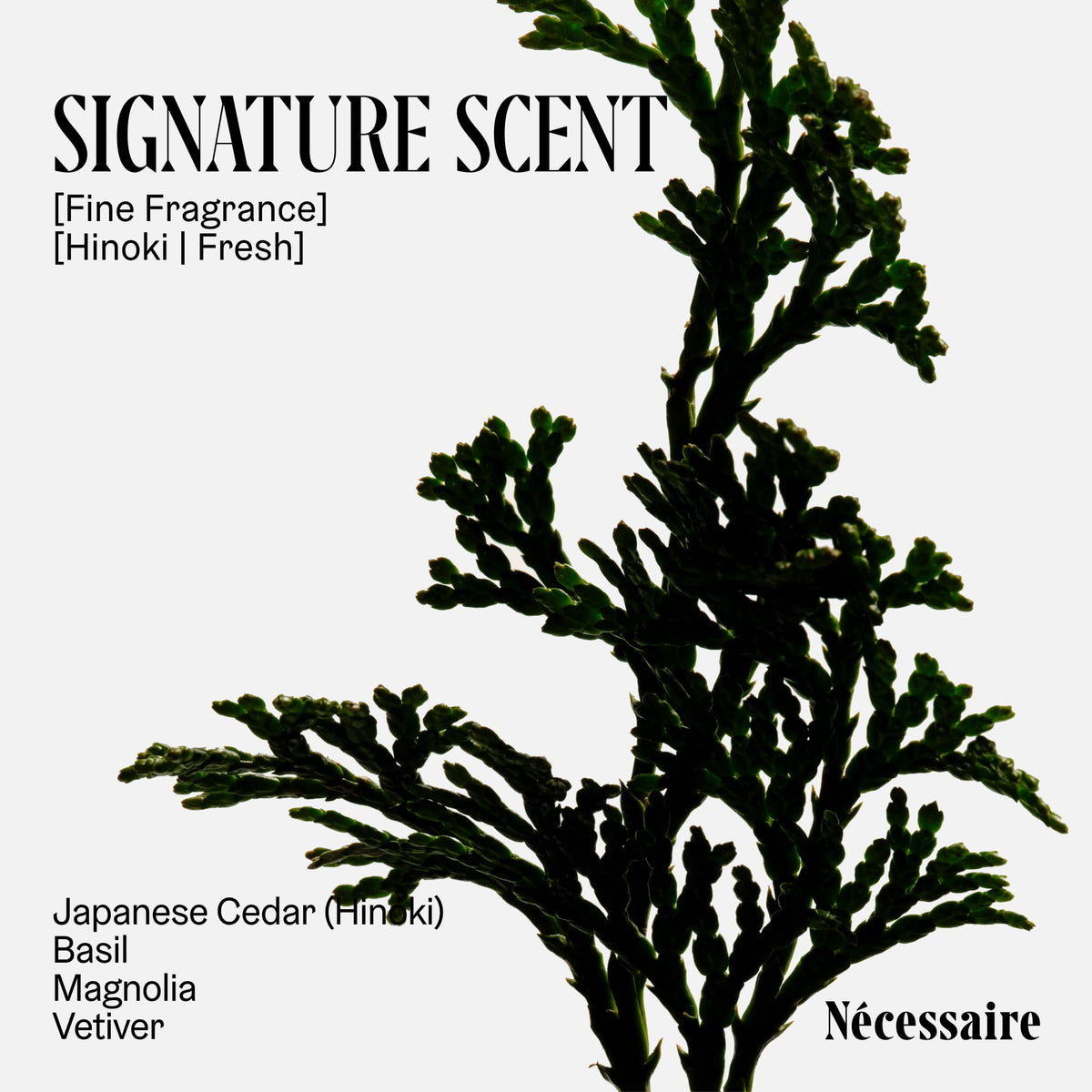 Nécessaire The Deodorant Hinoki top view with lid