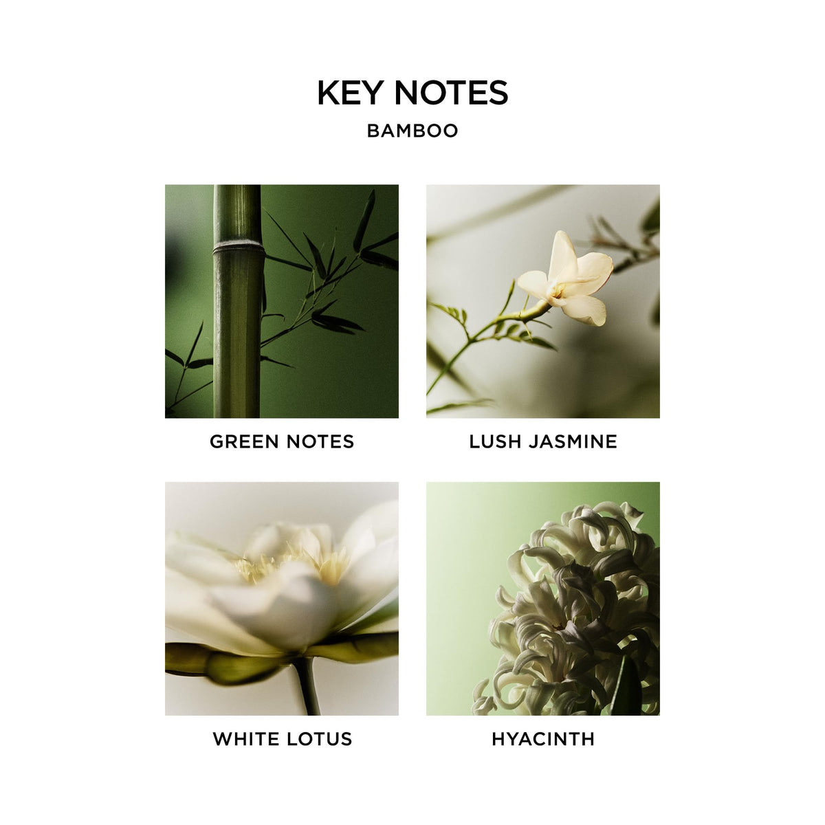 NEST New York Liquid Soap Bamboo in lifestyle setting