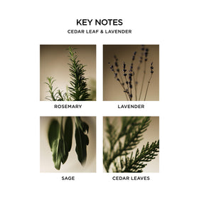 NEST New York Liquid Soap Cedar Leaf & Lavender pump dispenser close-up