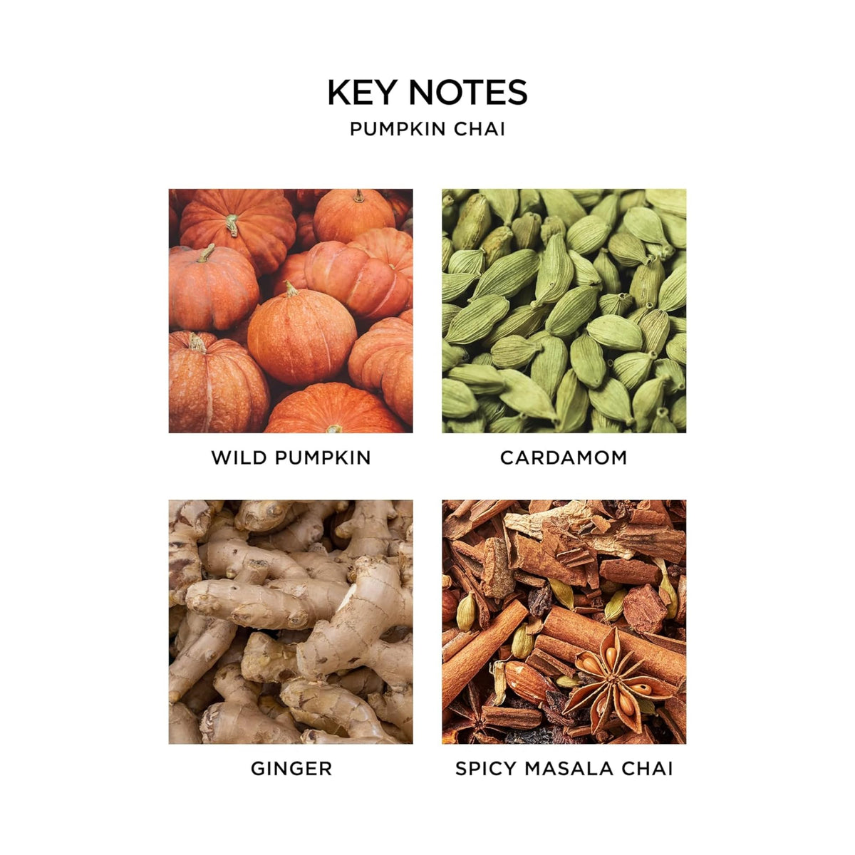 NEST New York Liquid Soap Pumpkin Chai label close-up