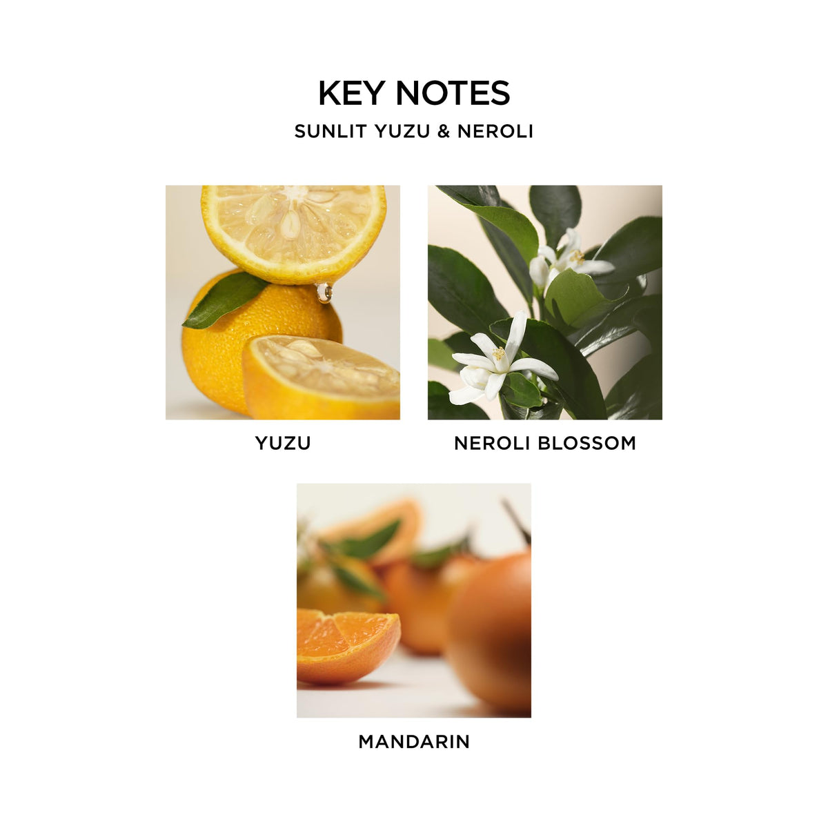 NEST New York Liquid Soap Sunlit Yuzu & Neroli lifestyle scene