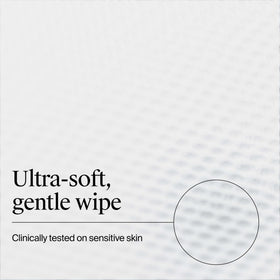 Neutrogena Gentle Facial Cleansing Wipes in a handbag