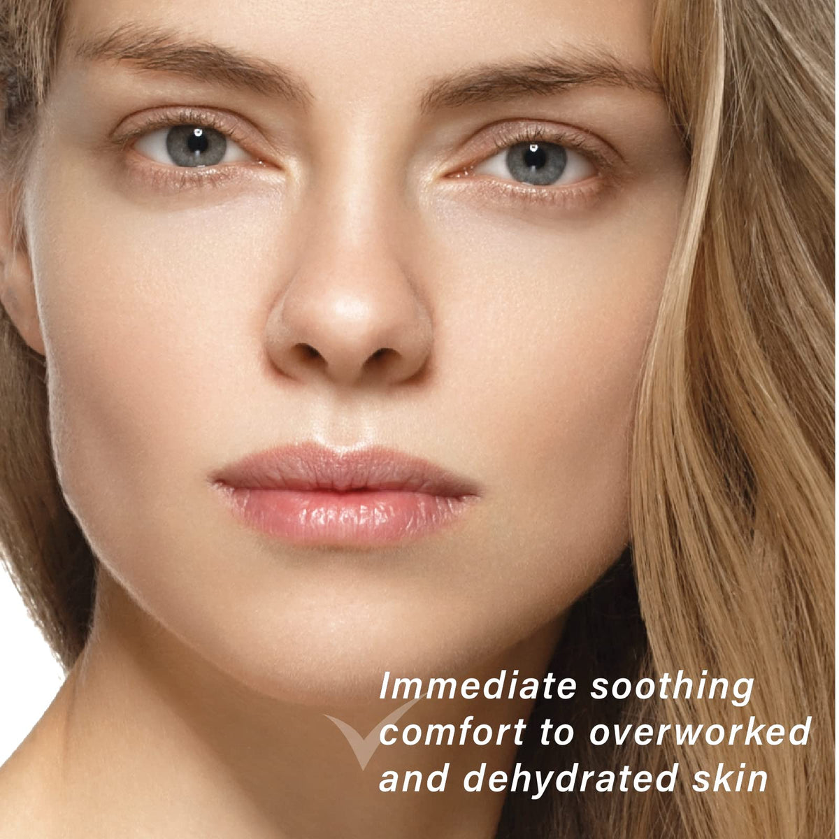 NEW ANGANCE Arctic Rejuvenation support ingredients list on the packaging
