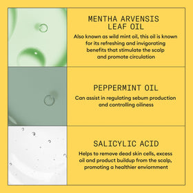 NIOXIN Scalp + Hair Thickening Shampoo application process