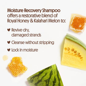 Not Your Mother's Protect & Nourish Shampoo and Conditioner set together