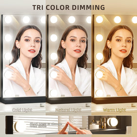 NUSVAN Vanity Mirror with detachable 10X magnifying mirror