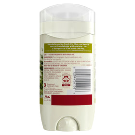 Old Spice Aluminium-Free Deodorant Timber Scent displayed on a bathroom counter
