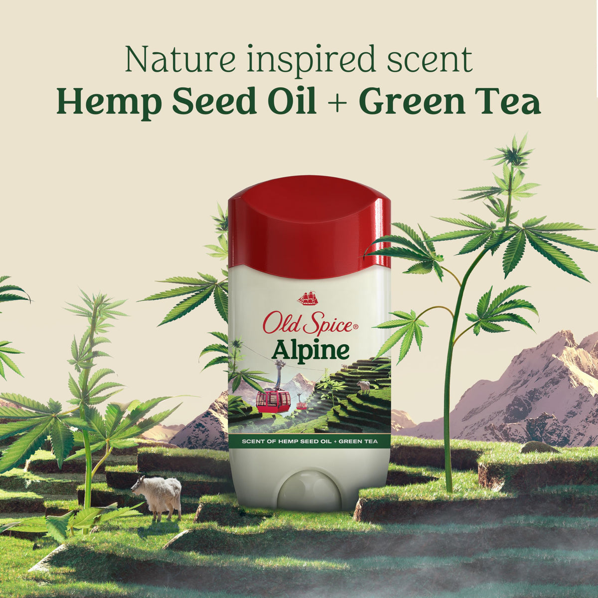 Old Spice Antiperspirant & Deodorant Alpine texture on skin