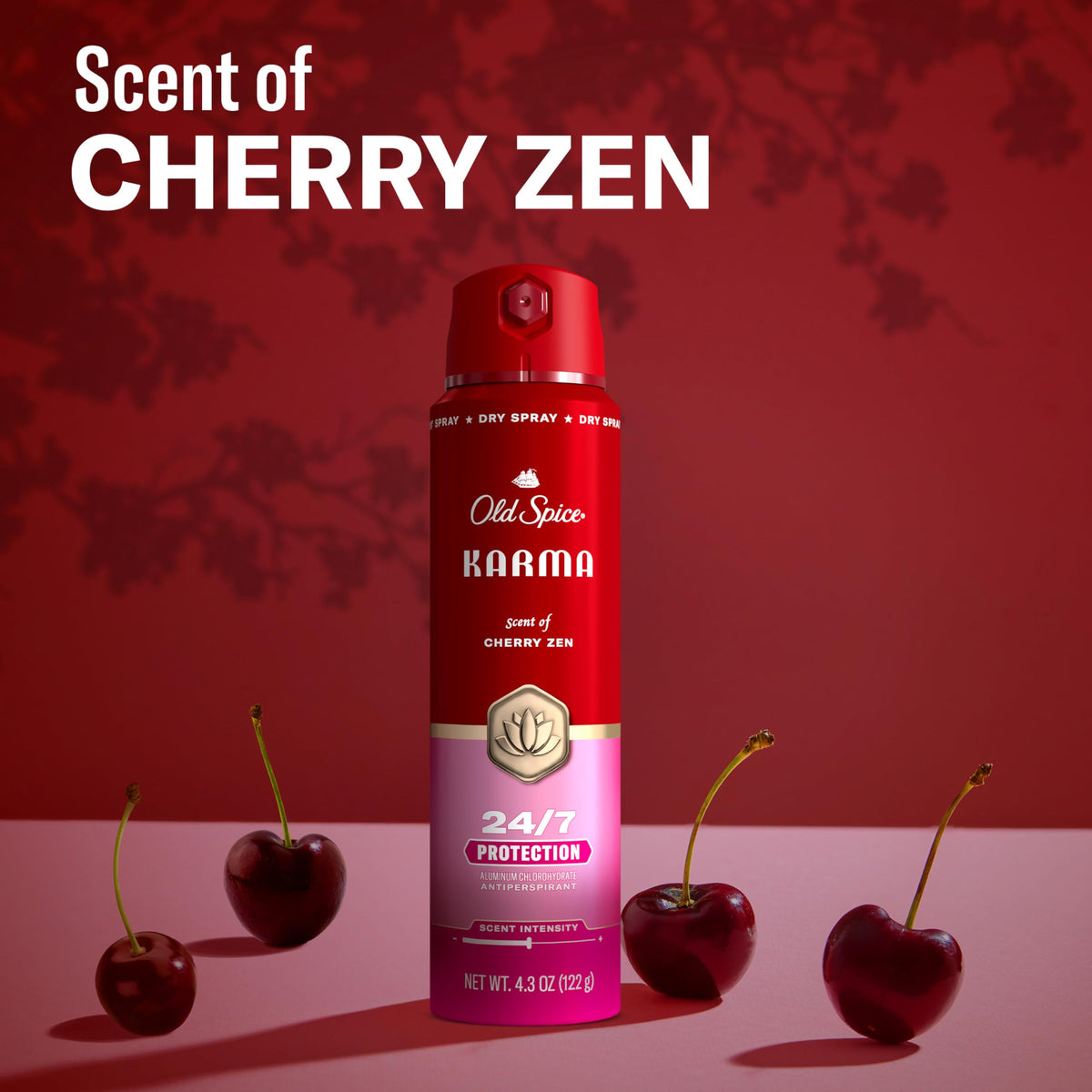 Old Spice Antiperspirant Spray Karma Cherry Spice packaging close-up