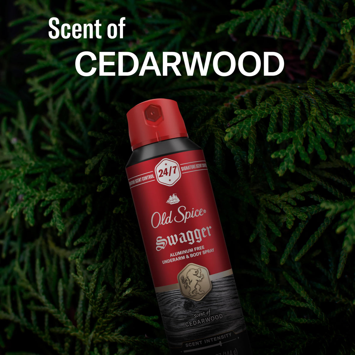 Old Spice Body Spray for Men in a gym bag