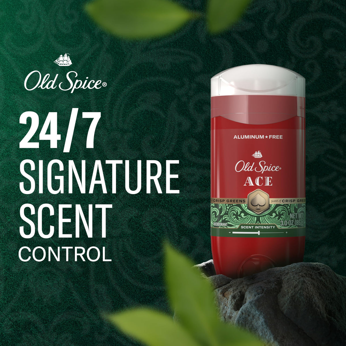 Old Spice Deodorant back view with ingredient list