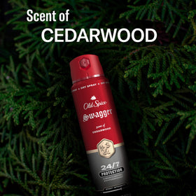 Old Spice Swagger Antiperspirant Deodorant Spray application demonstration
