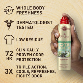 Old Spice Whole Body Deodorant Spray back view showing ingredients