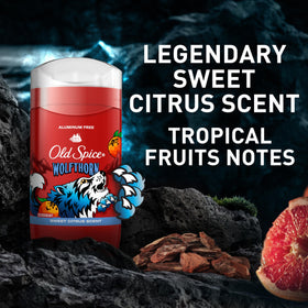 Old Spice Wild Collection products display