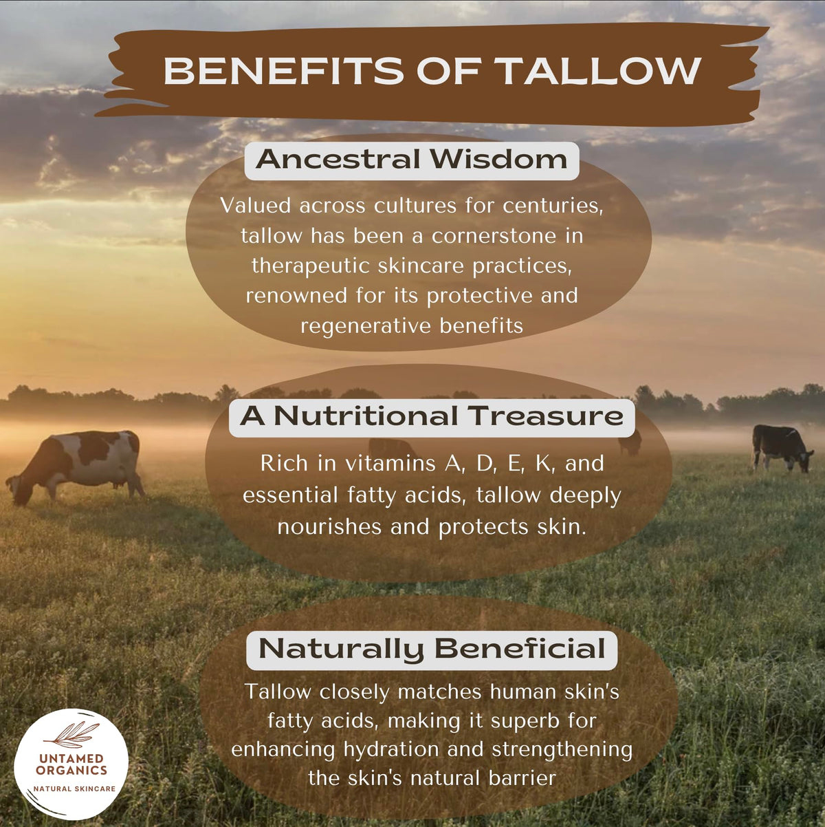 Open Untamed Organics Pure Tallow Lip Balm showing texture