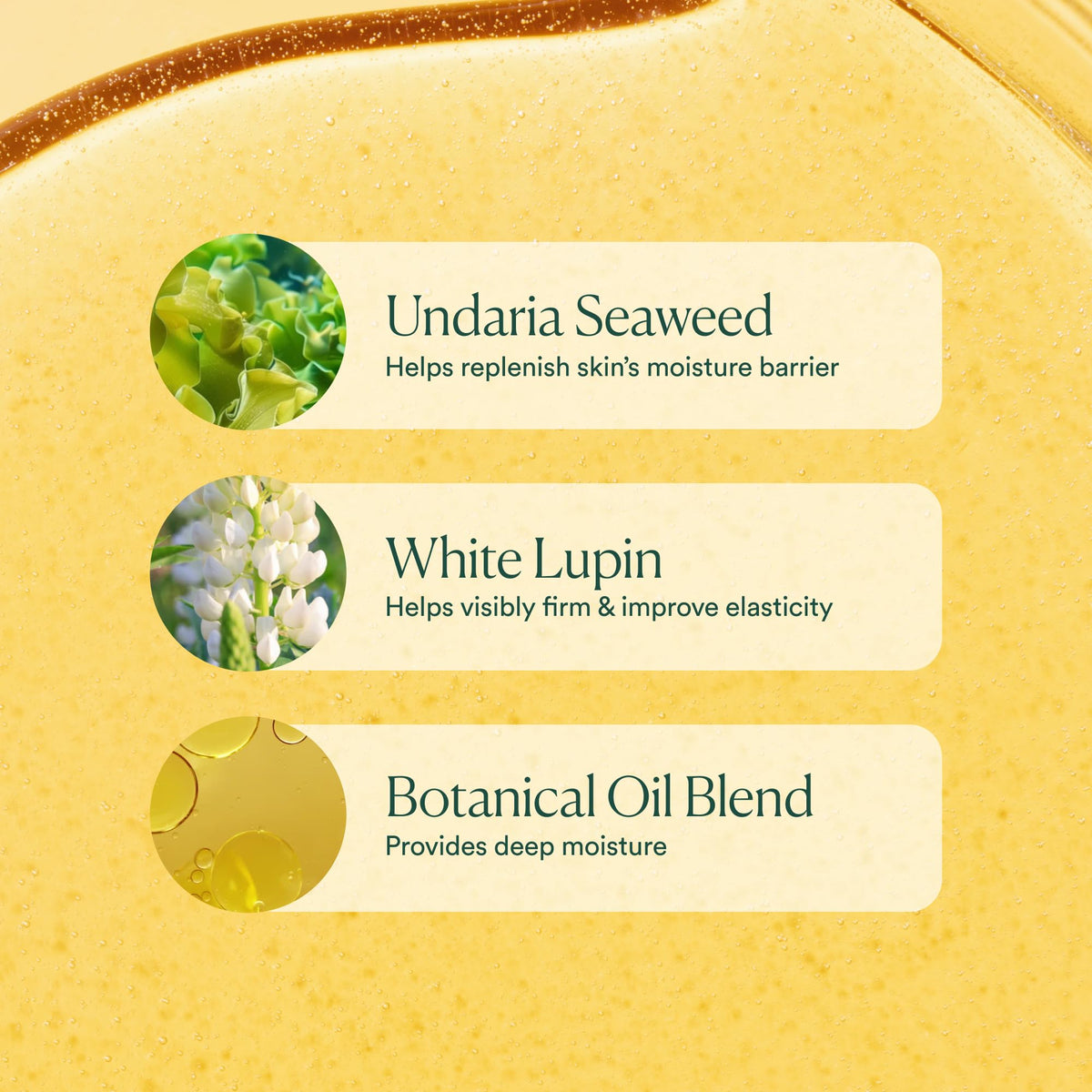 OSEA Undaria Algae Body Oil 5 oz lifestyle scene
