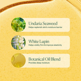 OSEA Undaria Algae Body Oil 5 oz lifestyle scene