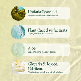 OSEA Undaria Algae™ Body Wash 8 oz with natural ingredients