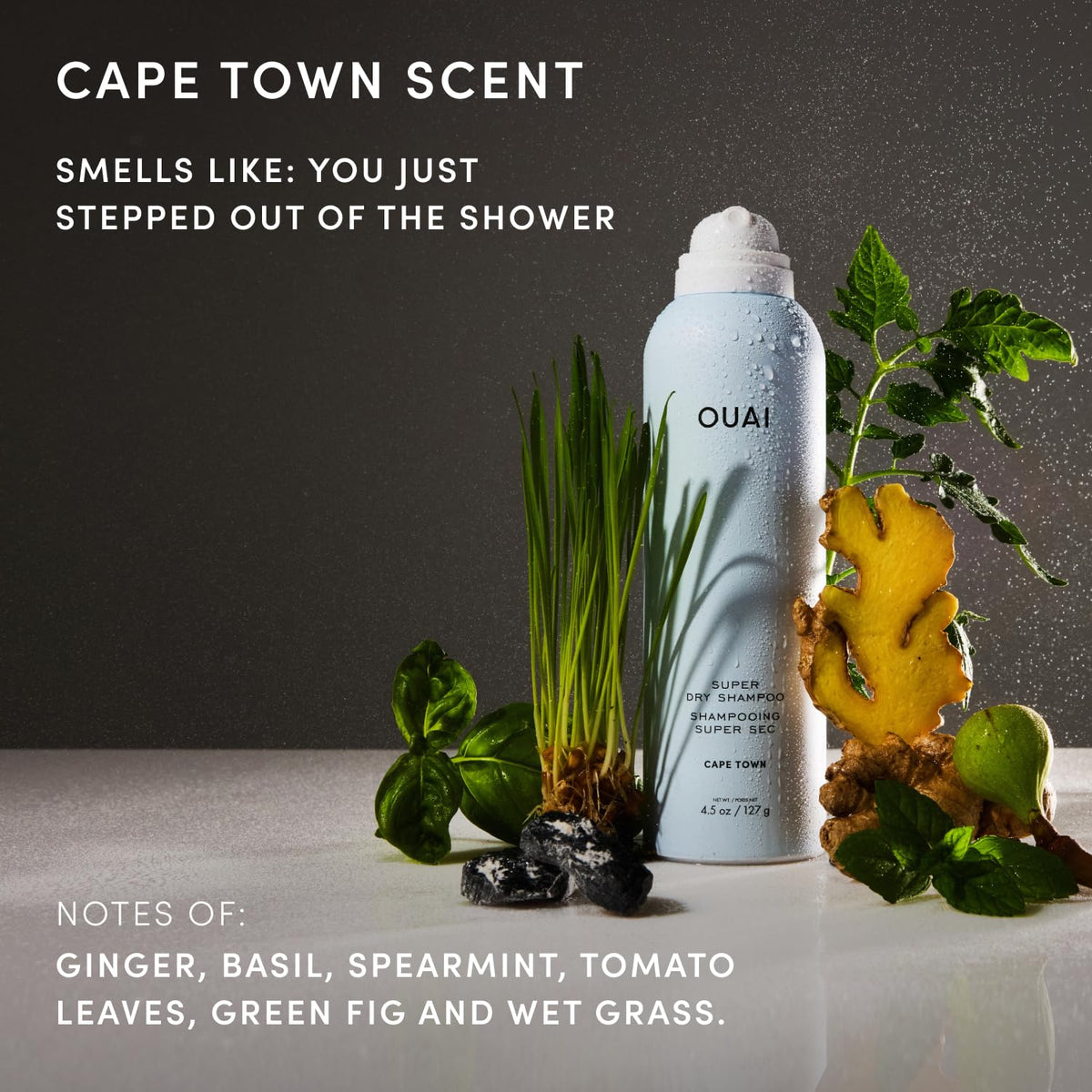 OUAI Super Dry Shampoo Cape Town 4.5 Oz packaging