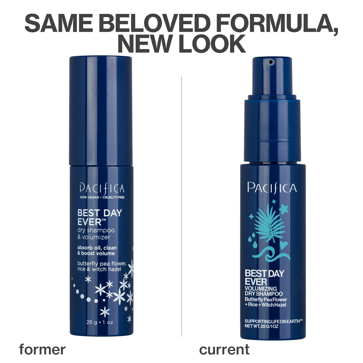 Pacifica Dry Shampoo Powder back view with ingredient list
