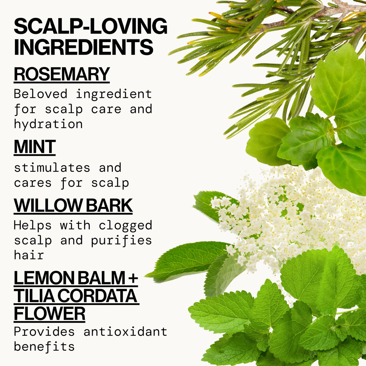 Pacifica Rosemary Purify Conditioner 8 oz side view