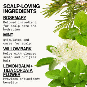 Pacifica Rosemary Purify Conditioner 8 oz side view
