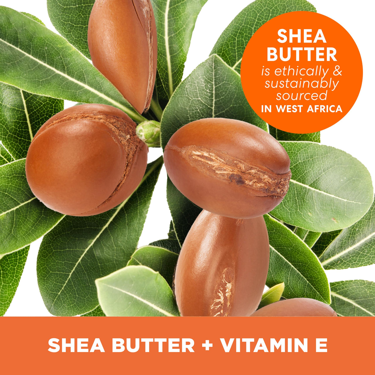Palmer's Raw African Shea Body Butter 7.25 Oz side view
