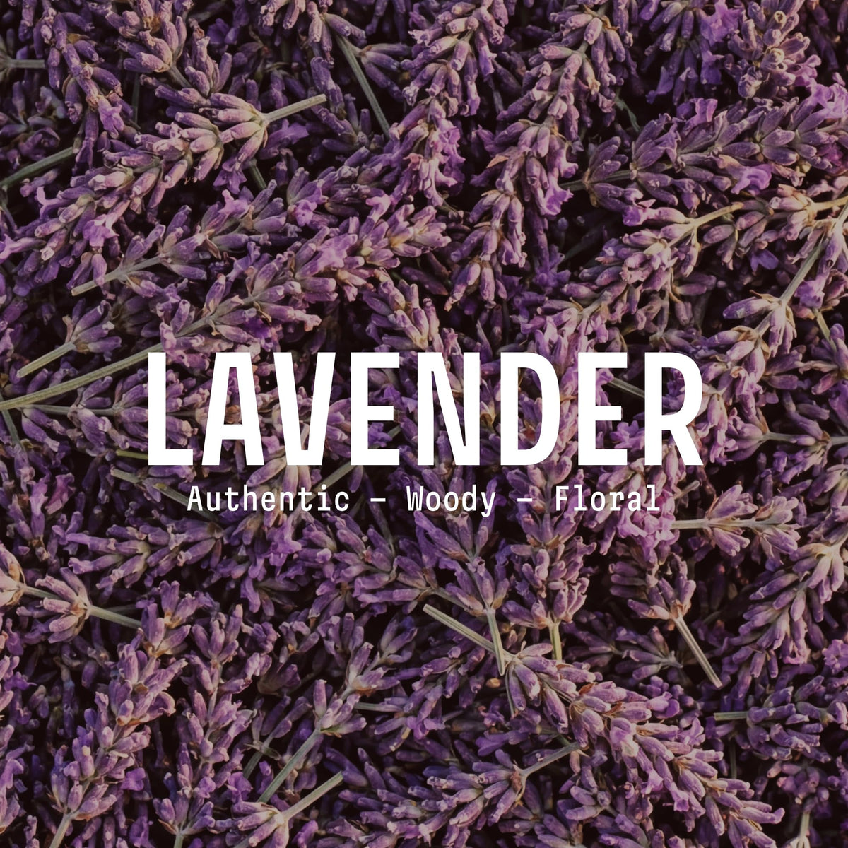 Panier des Sens Lavender Liquid Hand Soap bottle side view