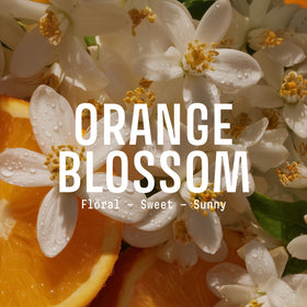 Panier des Sens Orange Blossom Liquid Hand Soap back view