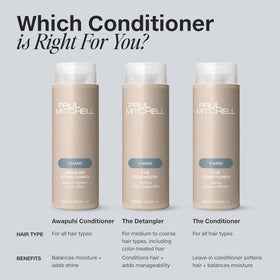 Paul Mitchell The Conditioner 16.9 fl. oz. with hair care products
