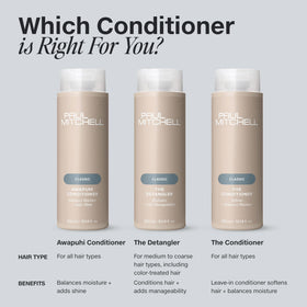 Paul Mitchell The Detangler Conditioner packaging details