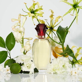 Paul Sebastian Design Perfume close-up of cap