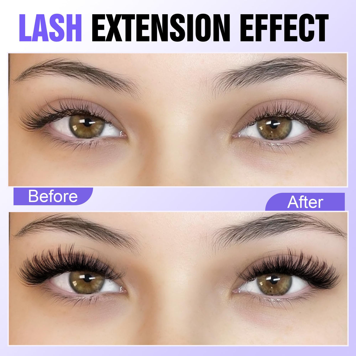 Pawotence Lash Clusters 40D packaging display
