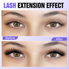 Pawotence Lash Clusters 40D packaging display