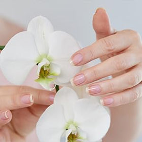 Perfect Formula Daily Moisture beside nail care tools