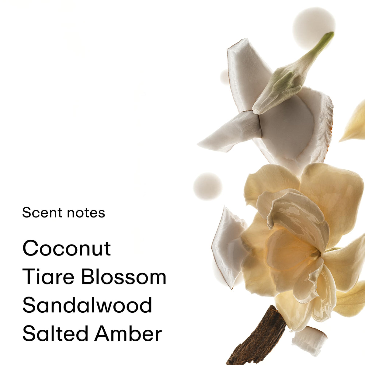 PHLUR Coconut Skin Body Mist packaging display