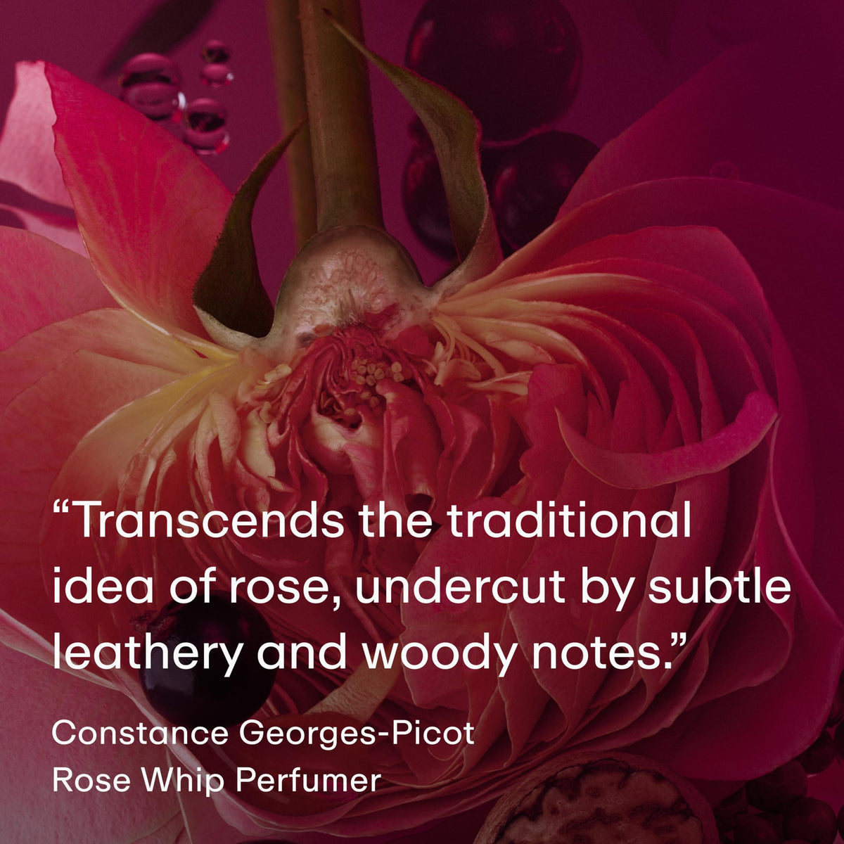 PHLUR Rose Whip Natural Deodorant close-up of stick