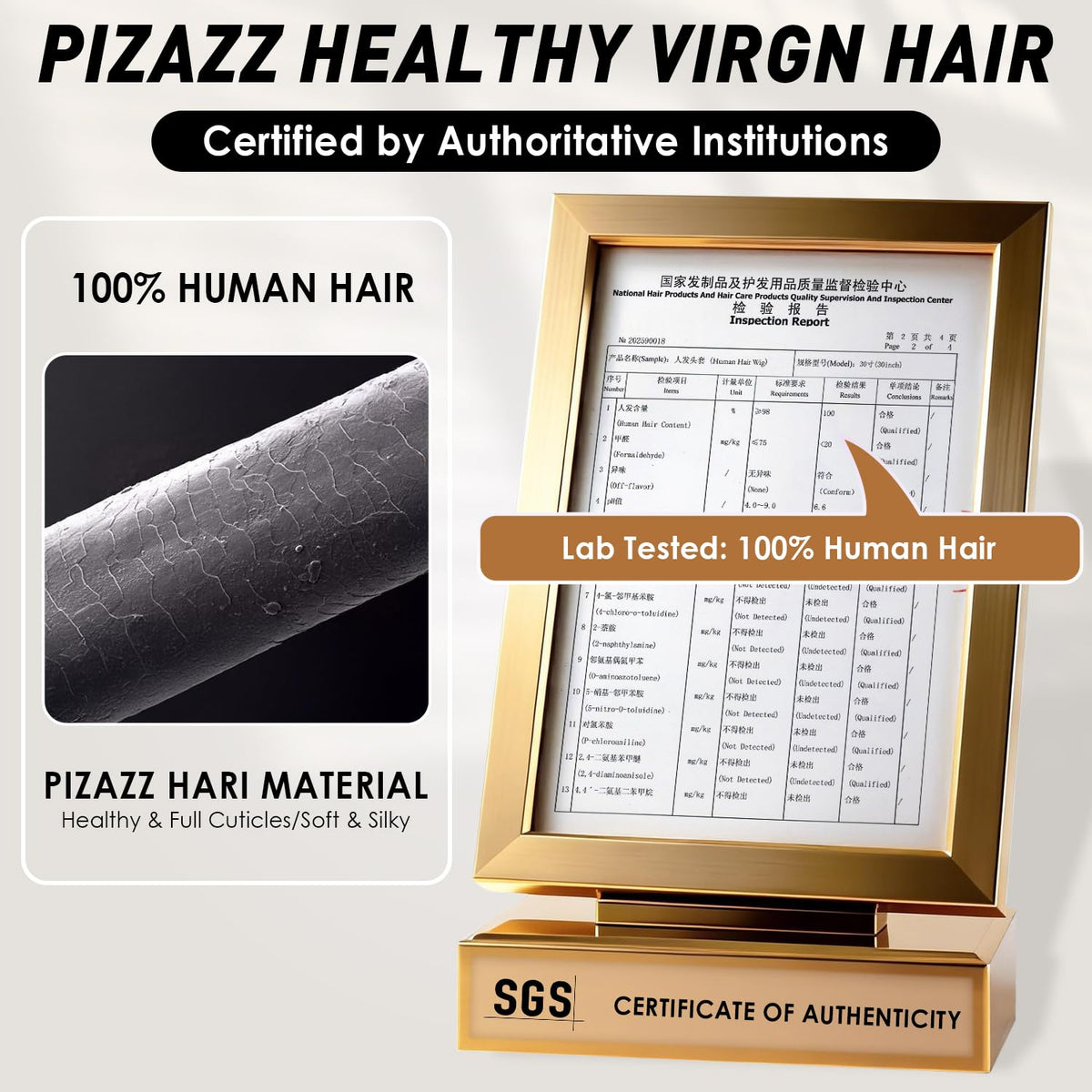 Pizazz Ombre Highlight Lace Front Wig in natural light
