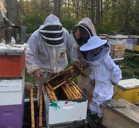 Planet Bee Apiary Lavender Bee Salve with lavender flowers