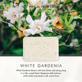 Pre de Provence Artisanal Soap Bar displayed in gift basket