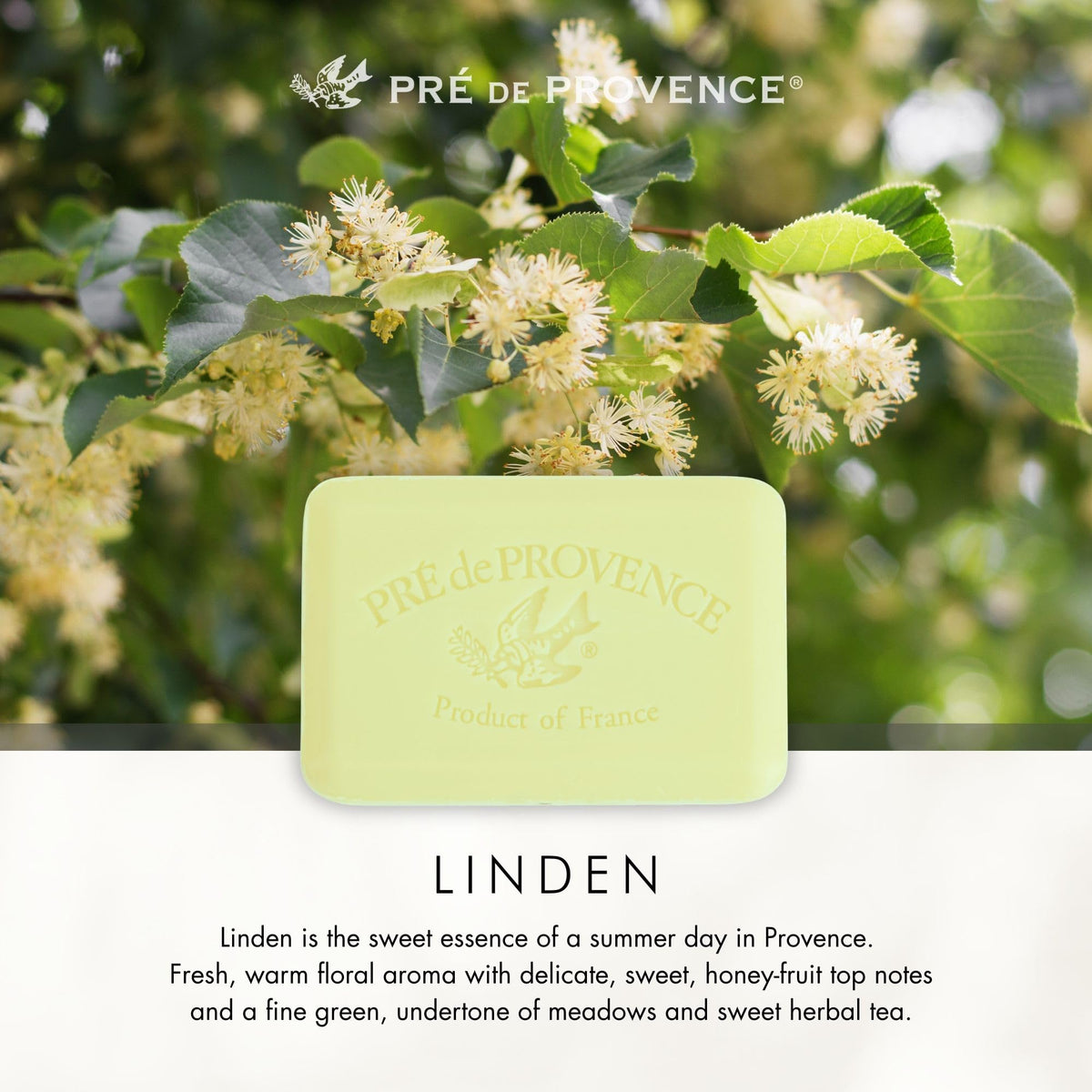 Pre de Provence Artisanal Soap Bar Linden Scent in a gift basket