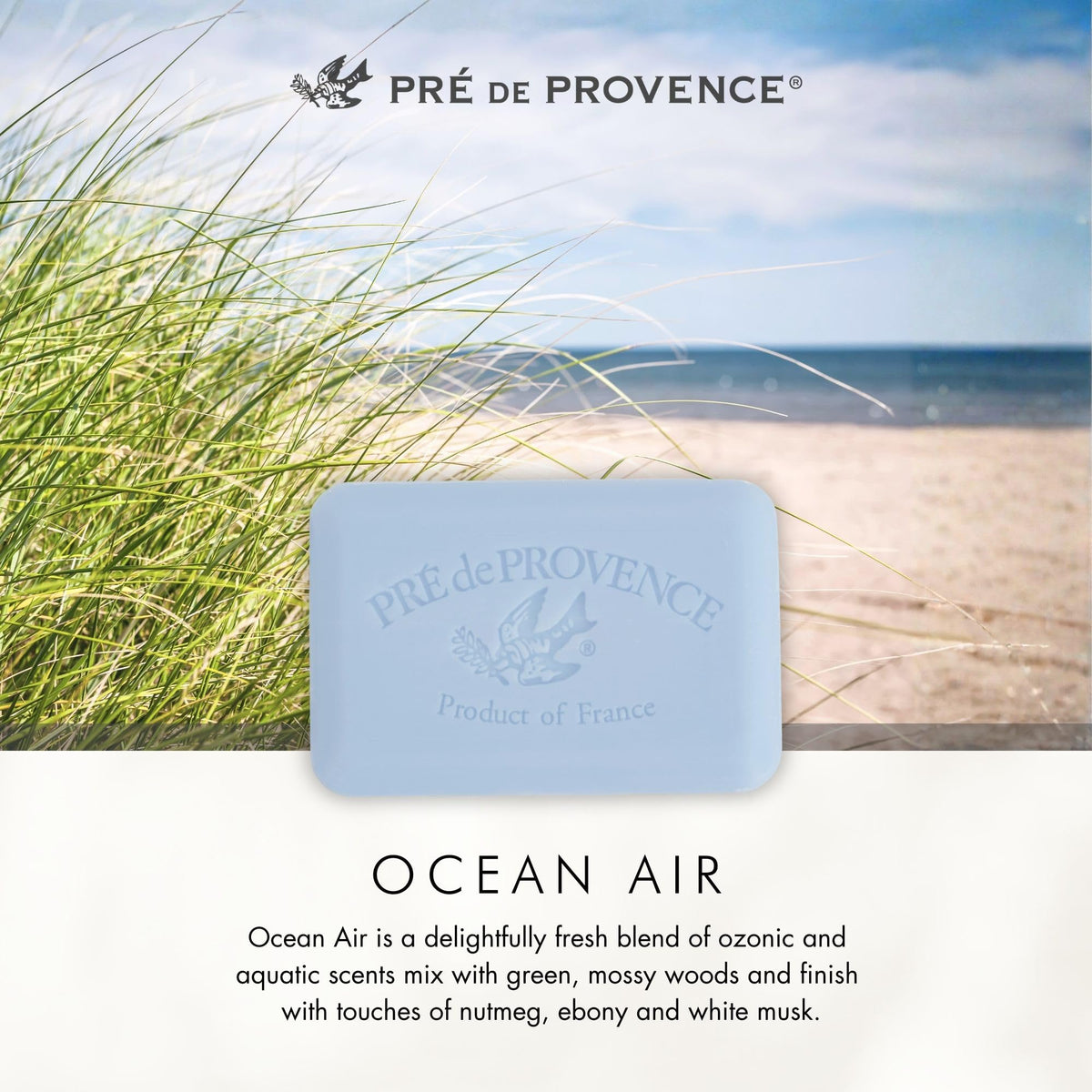 Pre de Provence Artisanal Soap Bar Ocean Air Scent in a gift basket